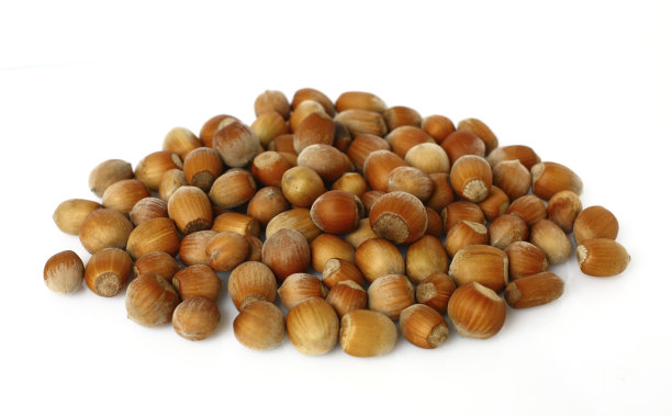榛子的白色图片下载
