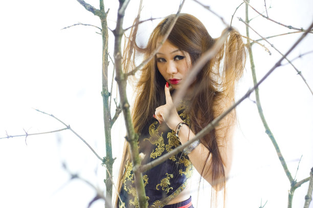 森林中的寂静图片下载