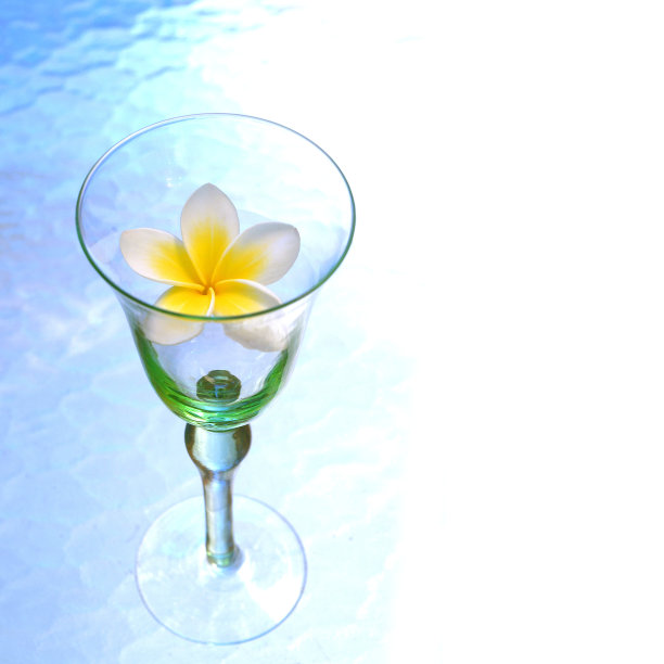 热带花蜜2图片下载