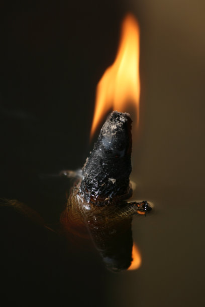 佛教寺庙中的藏式油灯图片下载