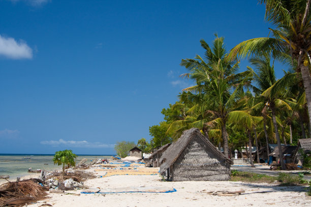 海藻文化,巴厘岛图片下载