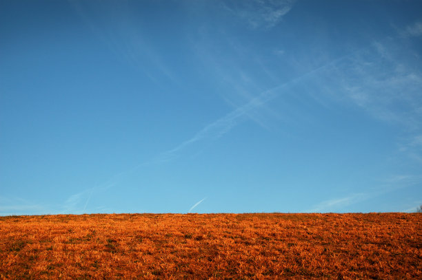 田野上的蓝天图片下载