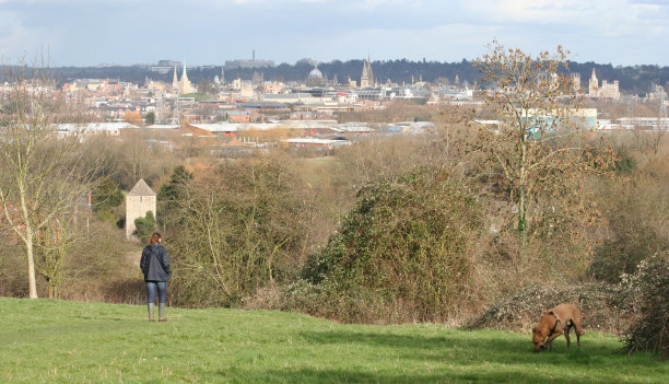 站在草地上的人的后视图图片下载
