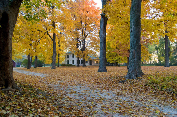 秋天的农场图片下载