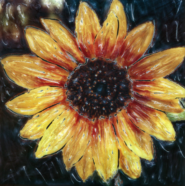 向日葵图片下载