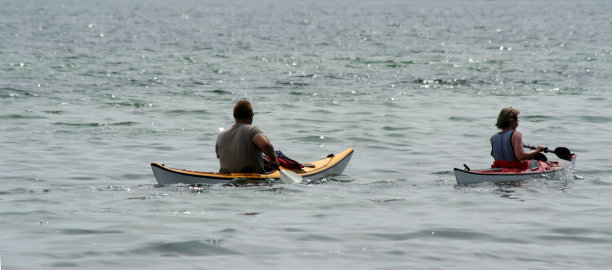 男男女女在丹麦享受海上皮划艇图片下载