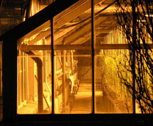 温室的窗户图片下载