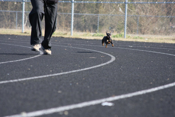 迷你品舍跑竞走!图片下载