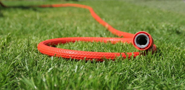 草坪上的花园软管图片下载