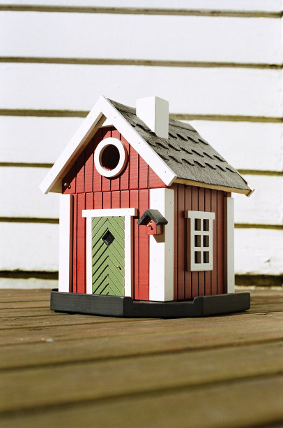 鸟的房子图片下载