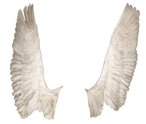 机翼在白色上方，正面图片下载