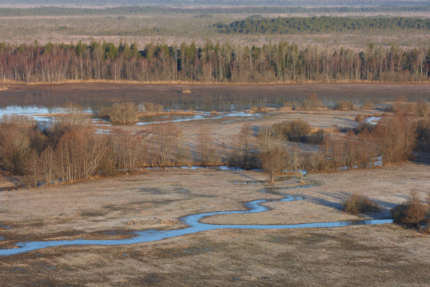 从高处俯瞰湿地图片下载
