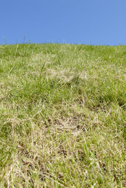 山陡峭的草图片下载