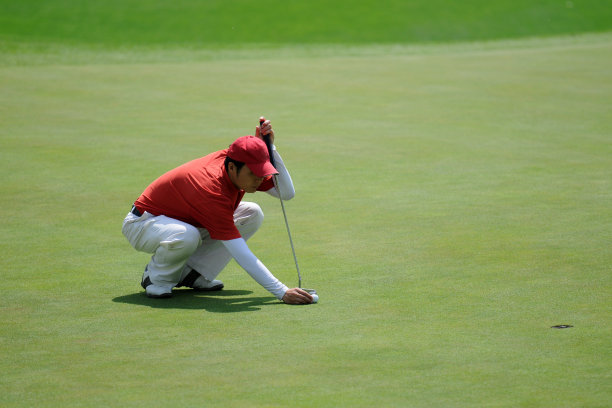 高尔夫球手推杆- XLarge图片下载