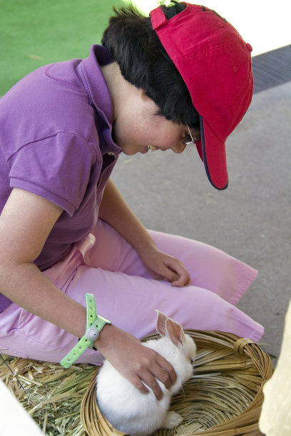 满足了兔子图片下载