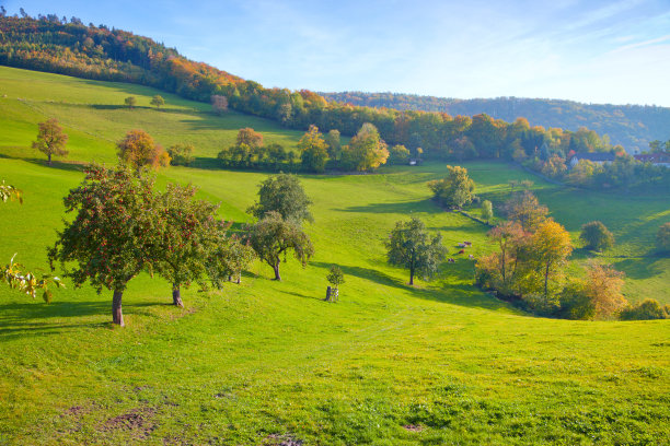 景观在奥地利图片下载