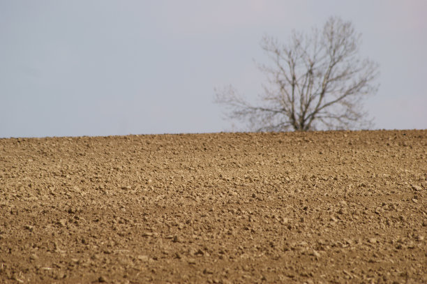 波兰 罗西约图片下载