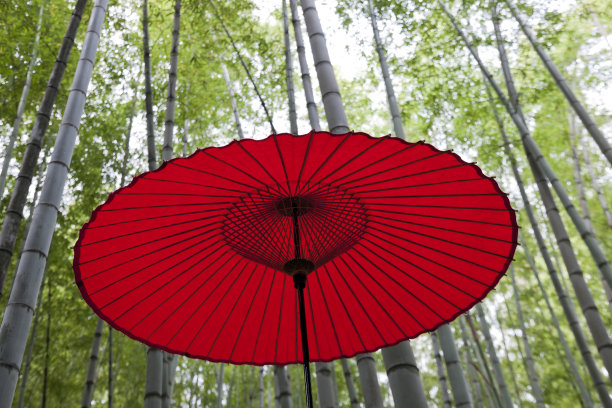雨后竹林中的日本伞图片下载