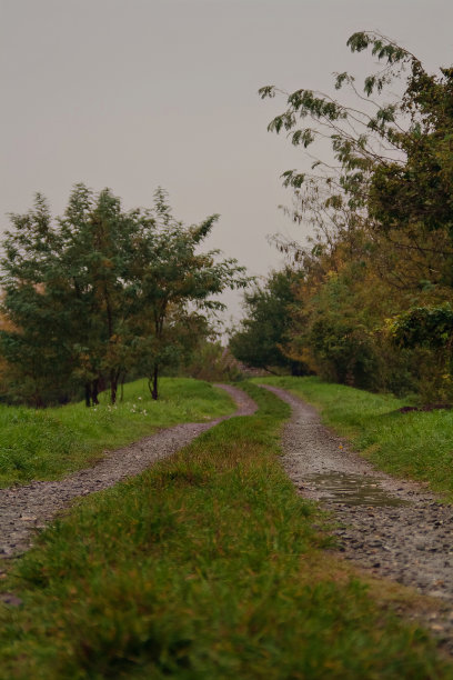 秋雨中的小径图片下载