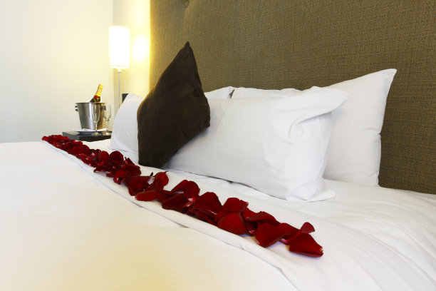 新娘套间准备好了图片下载