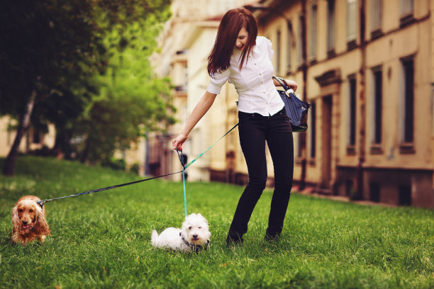 与狗同行图片下载