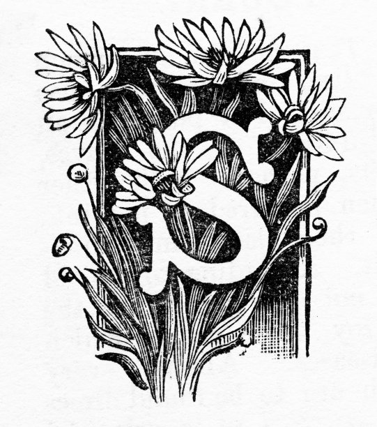 木刻一个大写的“S”与雏菊维多利亚版画图片下载