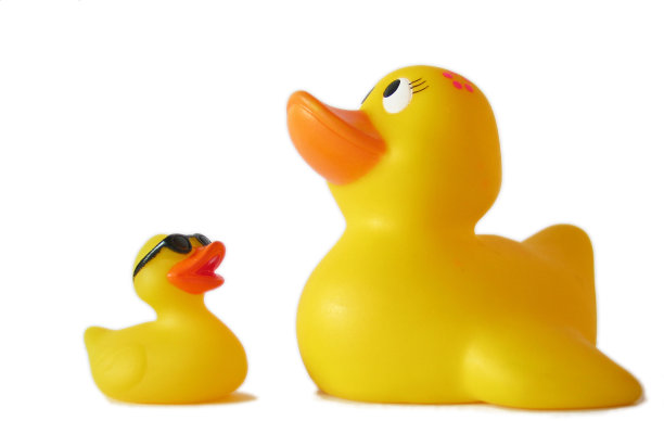 白色背景的孤立橡皮鸭图片下载