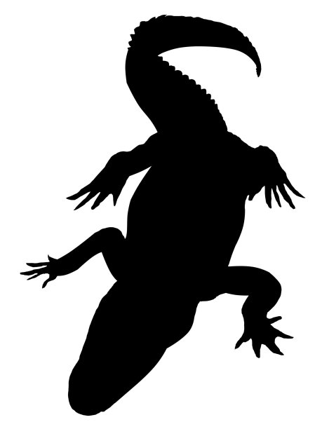 鳄鱼轮廓图片下载