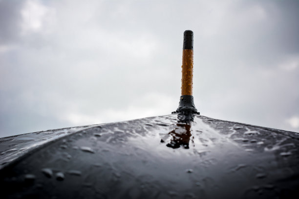 站在雨中图片下载