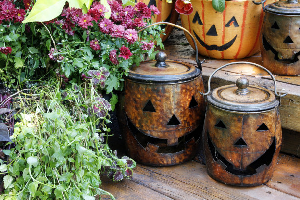 万圣节图片下载