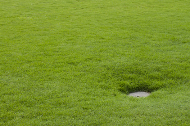 绿草带洞背景图片下载