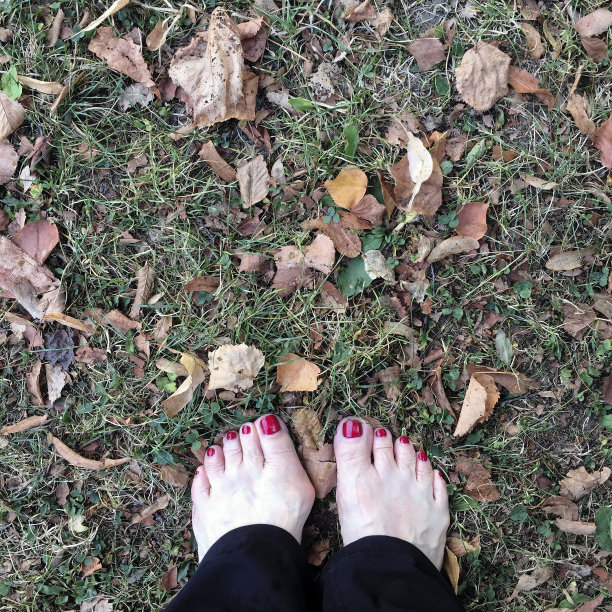 女人的脚在草叶上图片下载