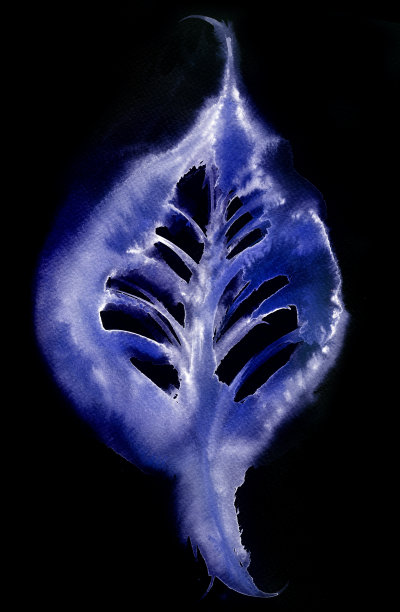 蓝色的叶子图片下载