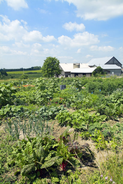 社区花园图片下载