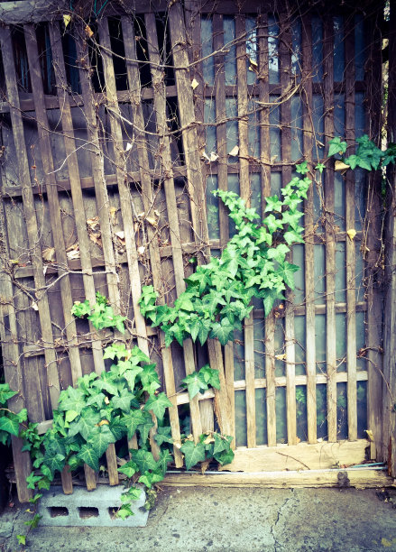 废弃的房子图片下载