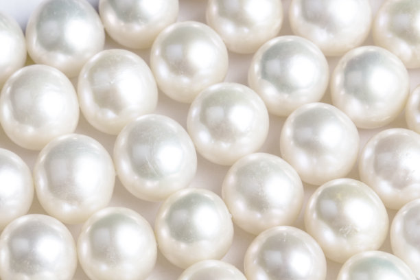 白色珍珠图片下载