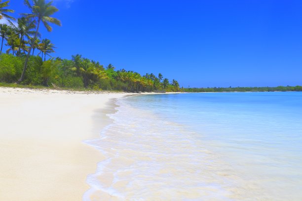 海边图片素材ID：147764944