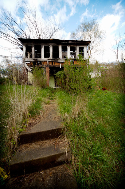 放弃了家庭图片下载