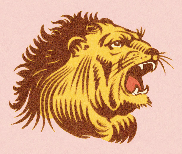 狮子图片下载