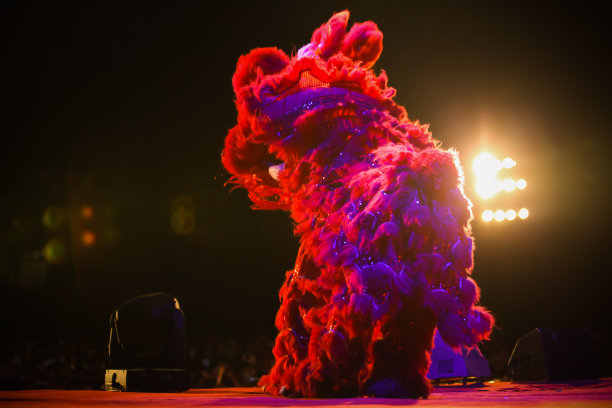 舞狮之夜图片下载