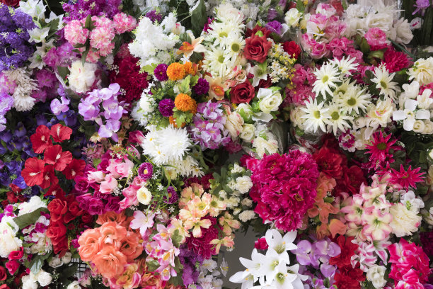 花店里五颜六色的鲜花图片下载