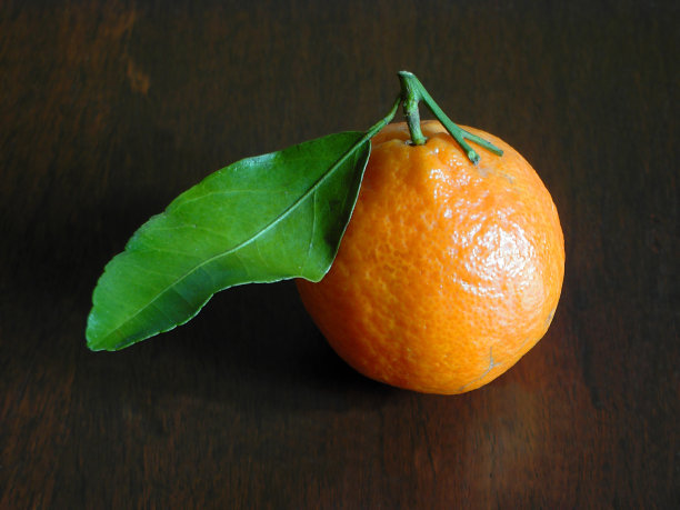 普通话图片下载