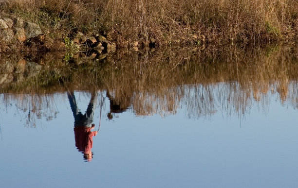 人与狗在水中倒映图片下载