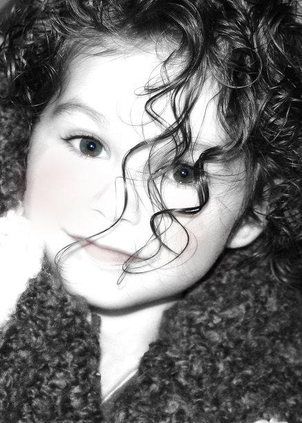 魅力猫图片下载