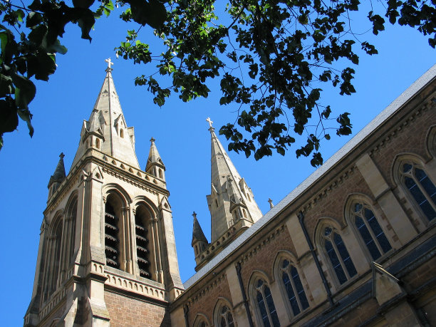 树木旁的大教堂图片下载