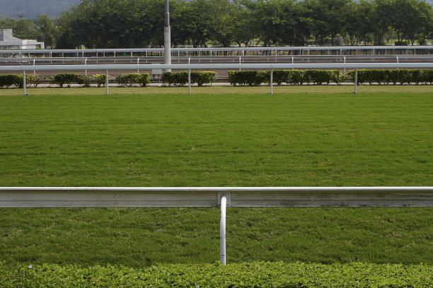 赛马跑道图片下载