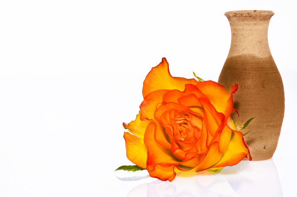 玫瑰陶瓷花瓶图片下载