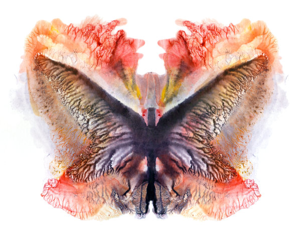 抽象的蝙蝠在蝴蝶图片下载