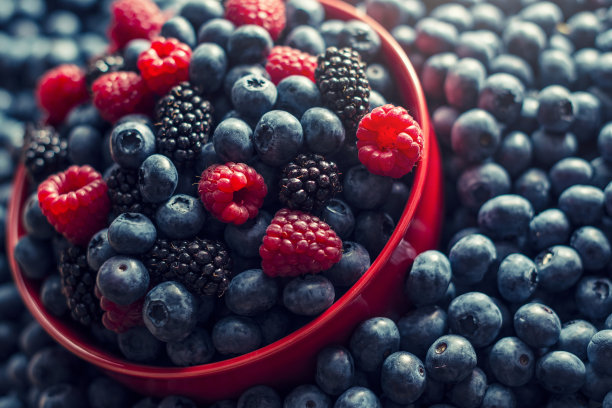 清新的夏日浆果图片下载