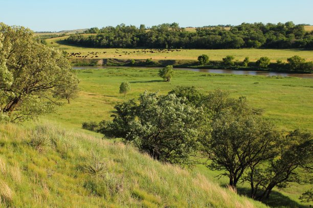 风景优美的牧场图片下载